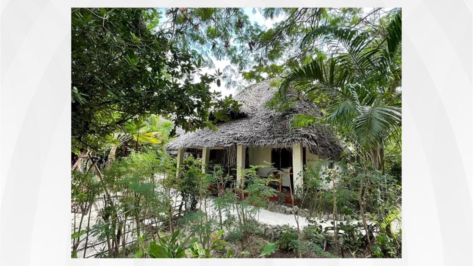 Bellevue Zanzibar Bed and Breakfast Bwejuu Exteriör bild